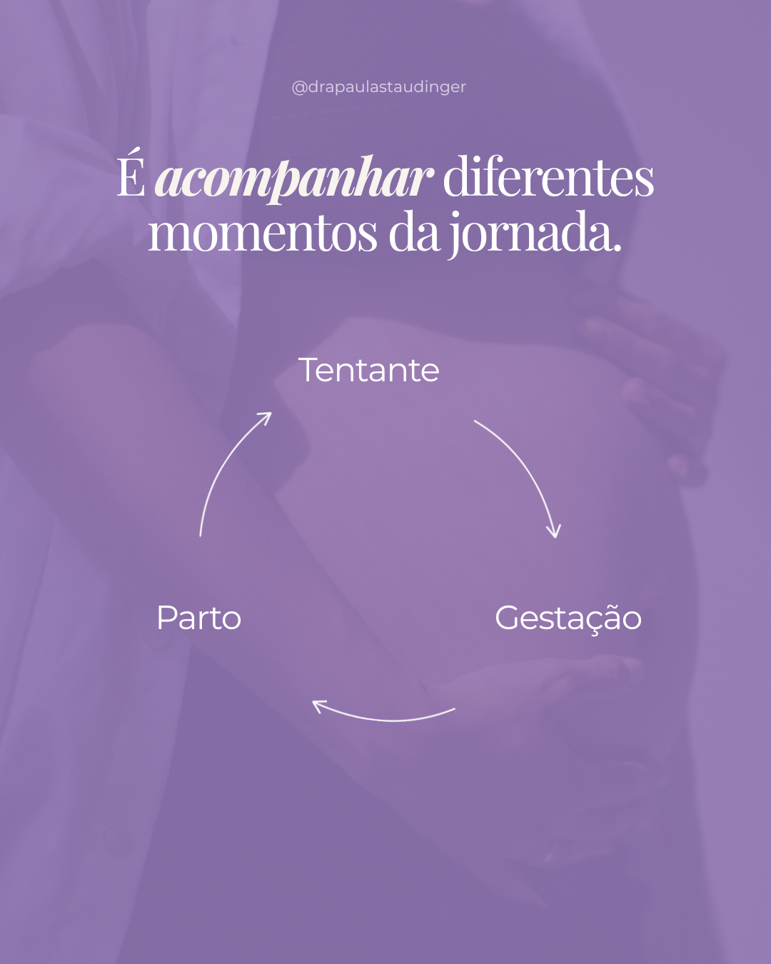 Ciclo ilustrado com as etapas Tentante, Gestação e Parto conectadas