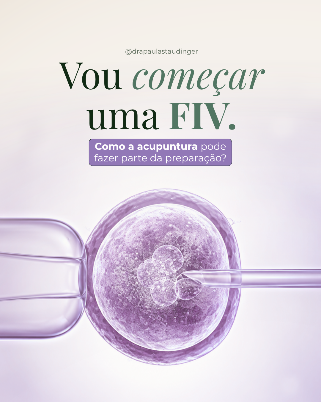 Composição sobre preparação para Fertilização In Vitro e acupuntura como apoio